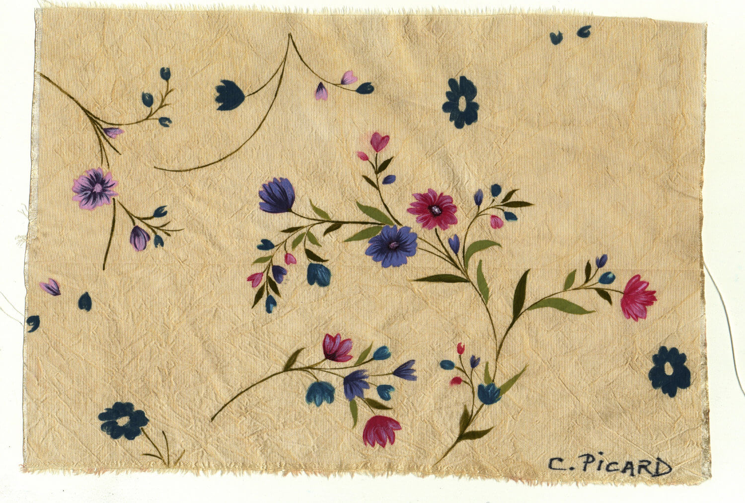 Picard Marie Christine (Francia)