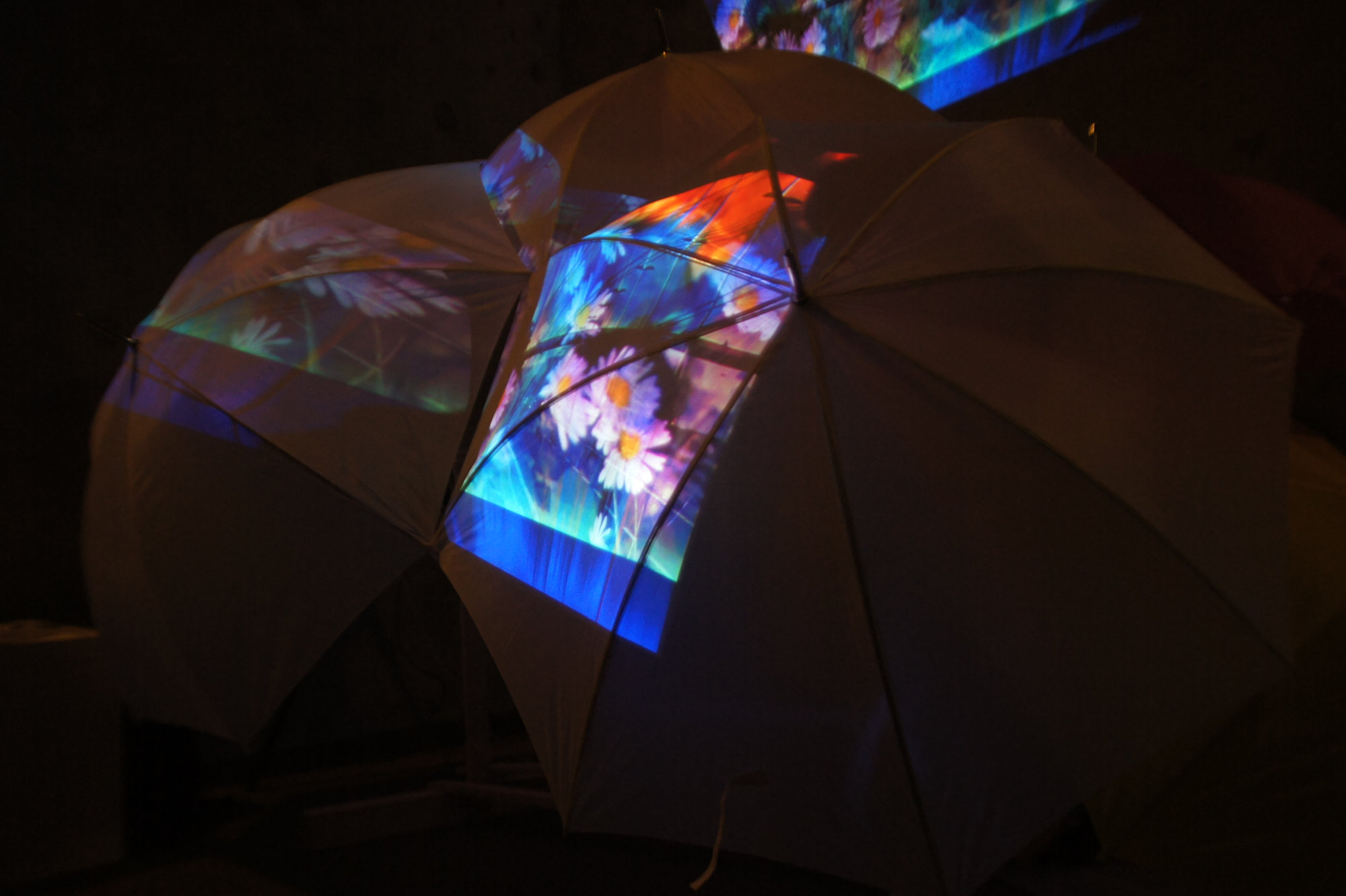 La Fantasia è un Posto Dove Piove @ Contemporary Art Ruhr (C.A.R.) | Essen - Germany