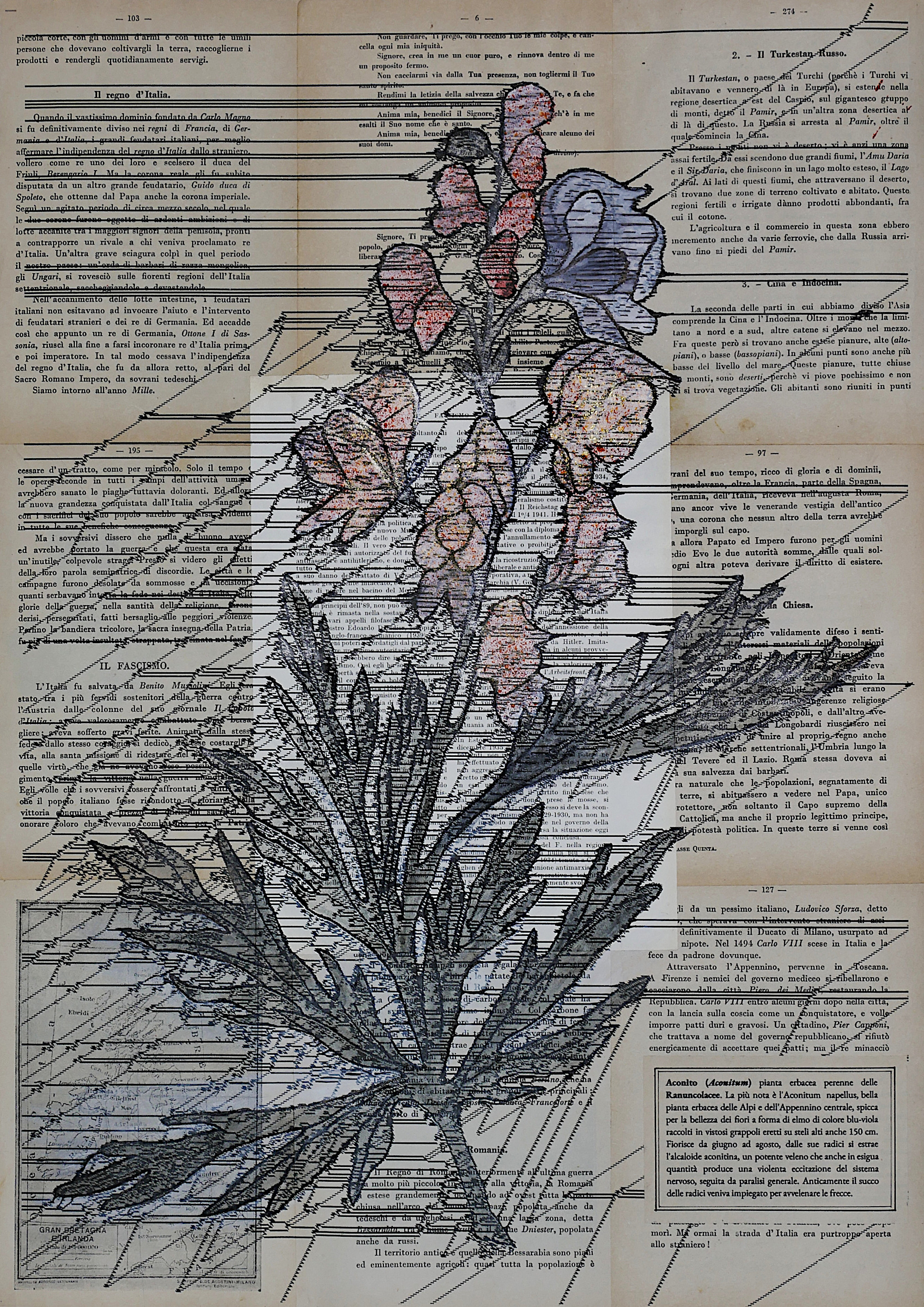 Executio in effige #fascismo #aconitum