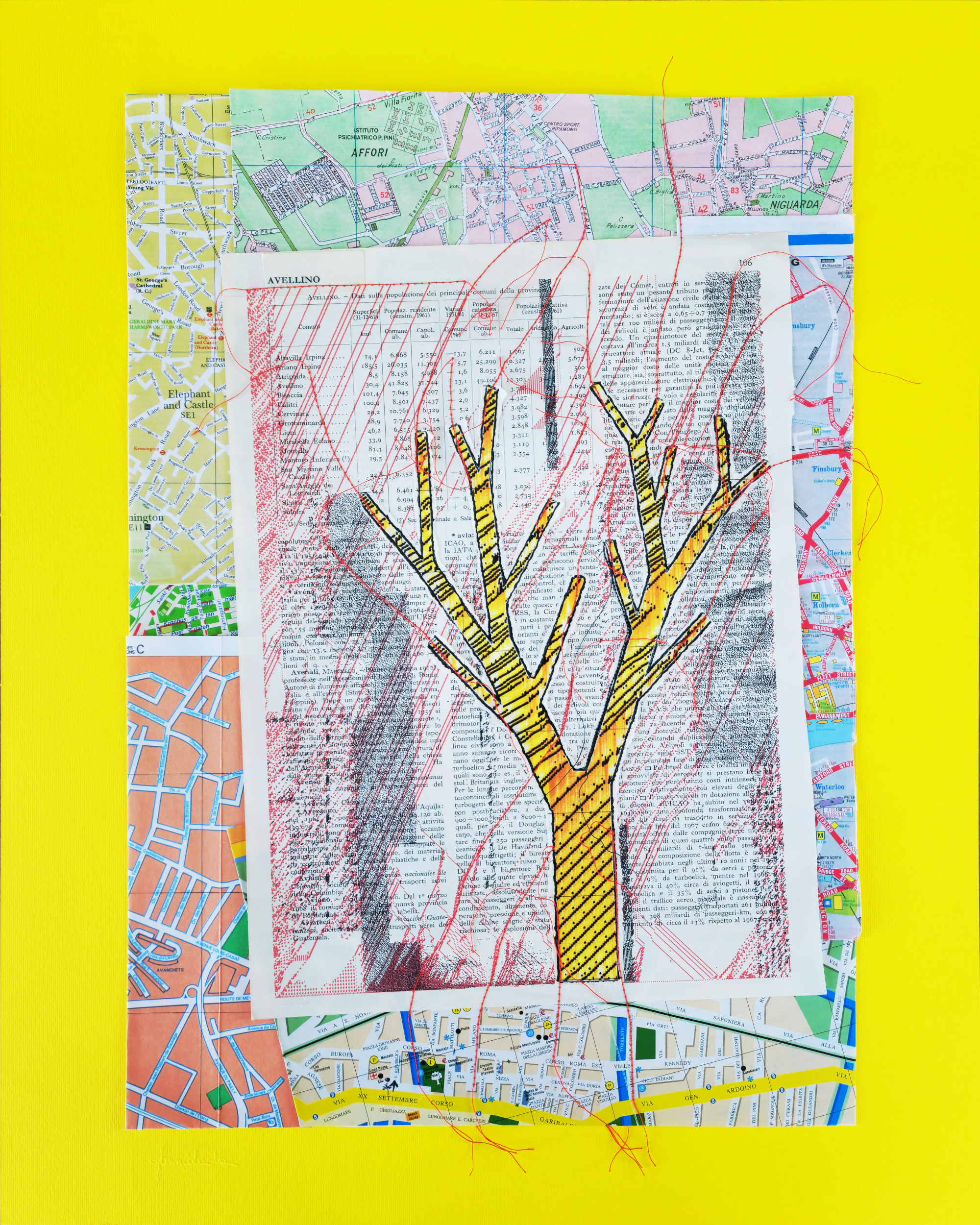 Plantopolis - Avellino