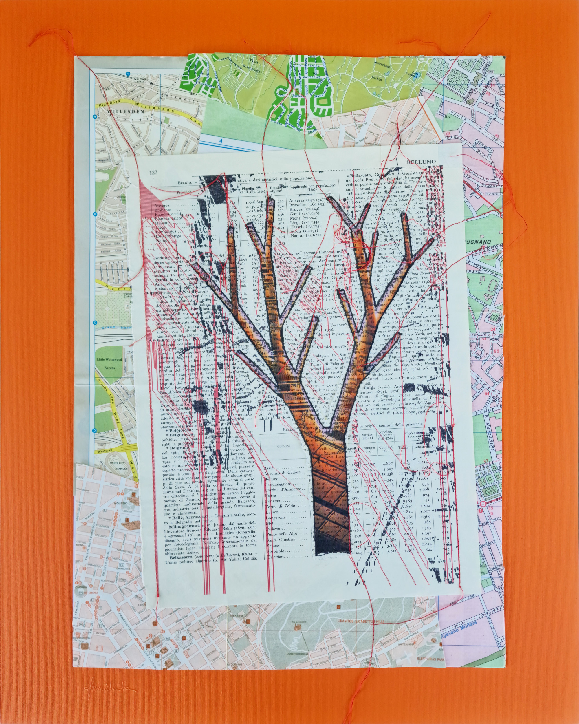 Plantopolis - Belluno