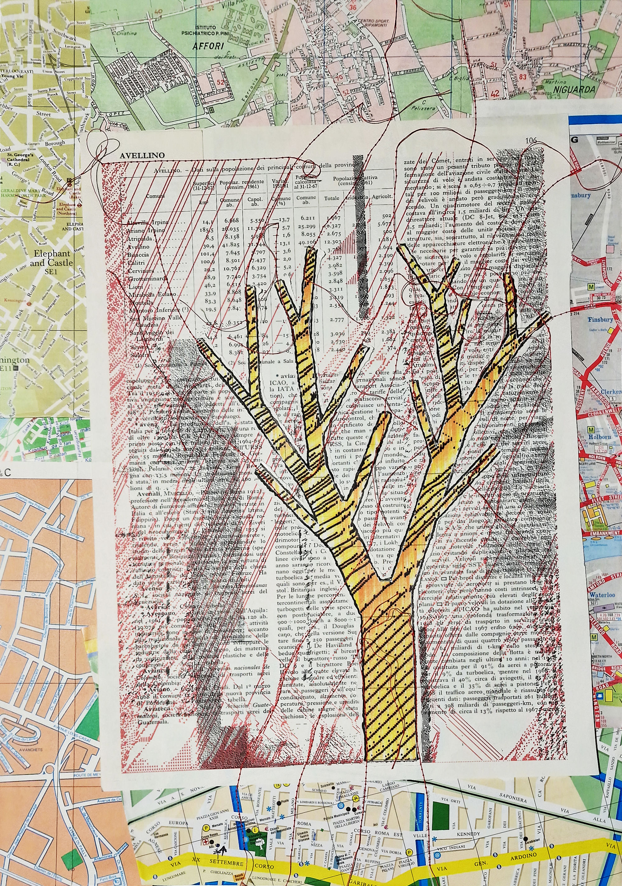 Plantopolis-Avellino
